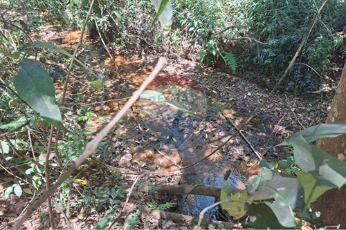 Slider Image Thumbnail