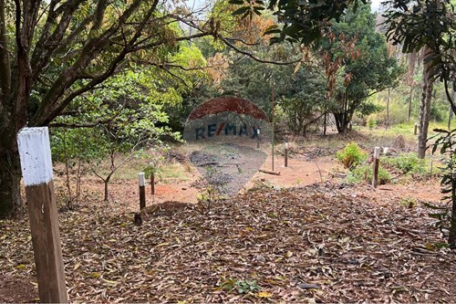 Venda-Terreno-SMLN TRECHO 4 , 173  - Lago Norte , Brasília , Distrito Federal , 71540045-880351036-28