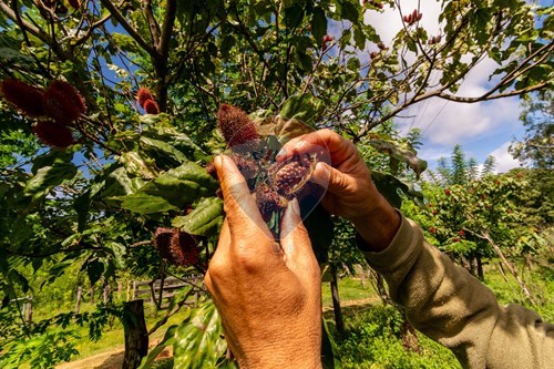 Slider Image Thumbnail