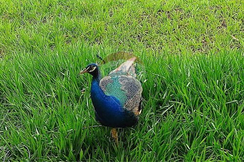 Slider Image Thumbnail