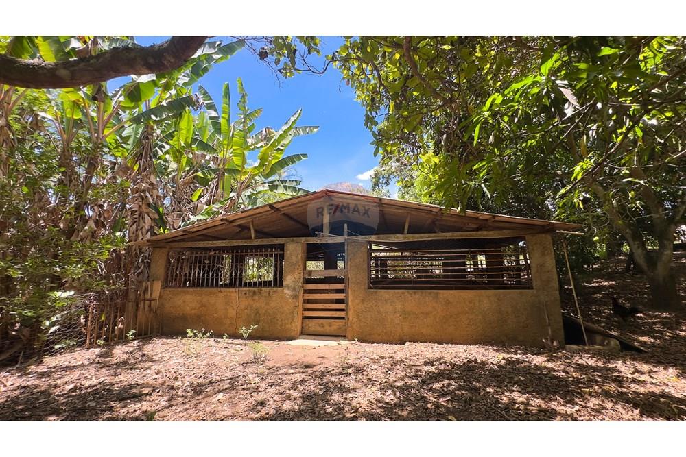 Chácara / Sítio / Fazenda - Venda - Cocalzinho de Goiás , Goiás - IMG_3377.jpg - 880341129-15