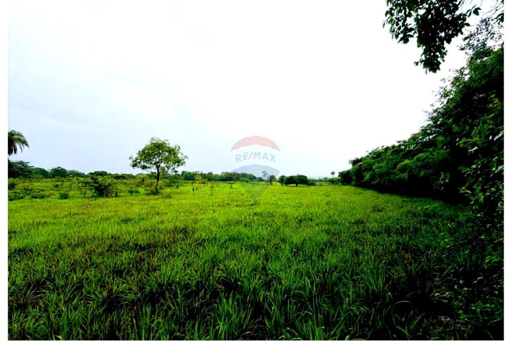 Fazenda - Venda - Cabeceiras , Goiás - ILIST_3x2_Imagem10-Pasto fundo até corrego.jpg - 880241072-4