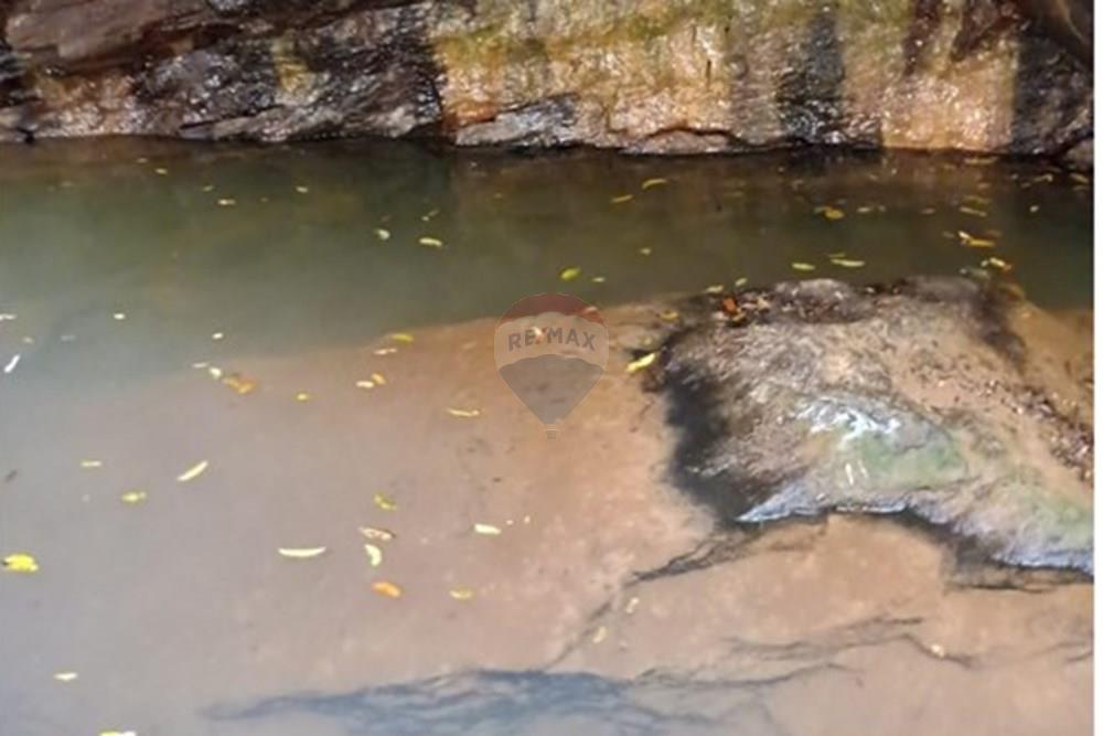 Chácara / Sítio / Fazenda - Venda - Luziânia , Goiás - Imagem do WhatsApp de 2025-06-26 à(s) 23.13.24_8a55b15e.jpg - 880231017-81