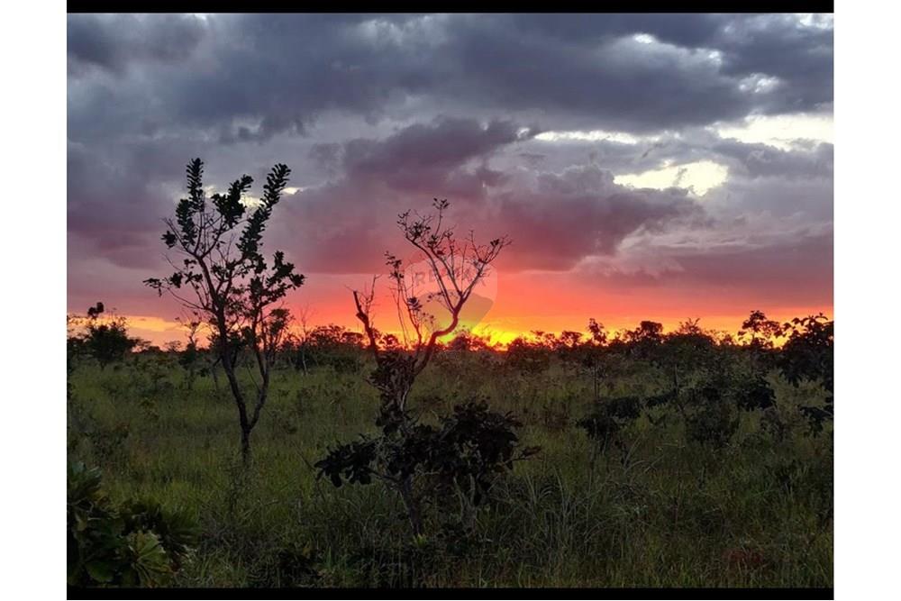 Terreno - Venda - Brasília , Distrito Federal - WhatsApp Image 2024-04-02 at 12.11.06.jpeg - 880321003-427