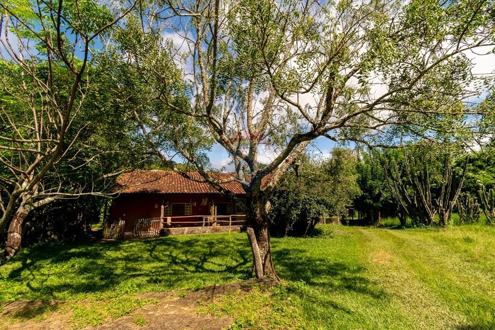 Chácara / Sítio / Fazenda - Venda - Planaltina , Distrito Federal - DSC_6631.jpg - 880341026-72
