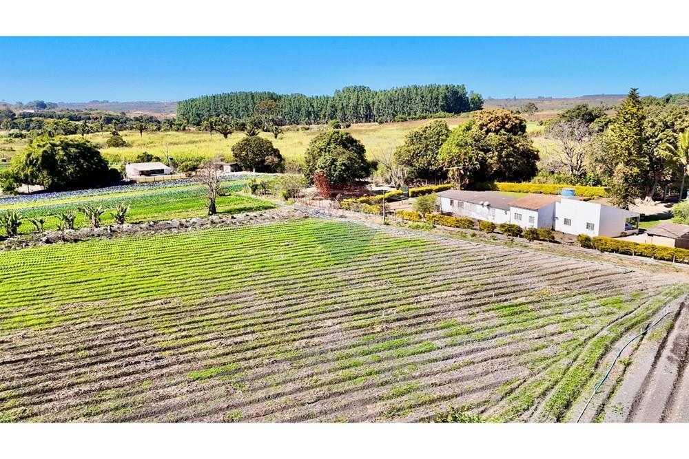 Chácara / Sítio / Fazenda - Venda - Ceilandia , Distrito Federal - DJI_20250707103644_0336_D.jpg - 880411001-271