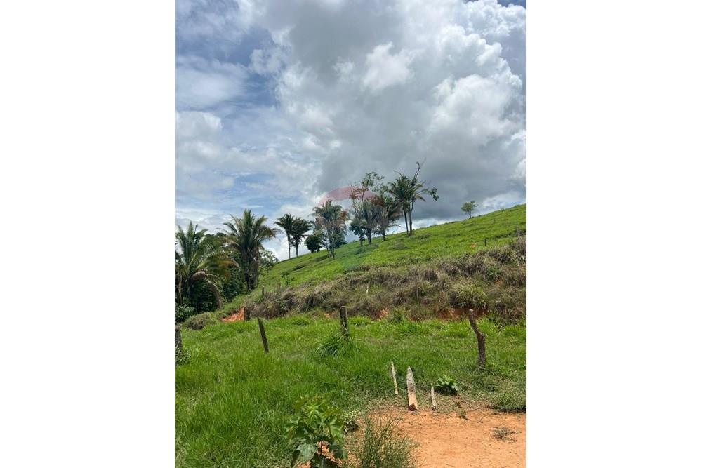 Chácara / Sítio / Fazenda - Venda - Cocalzinho de Goiás , Goiás - fazenda 1.jpeg - 880351098-3