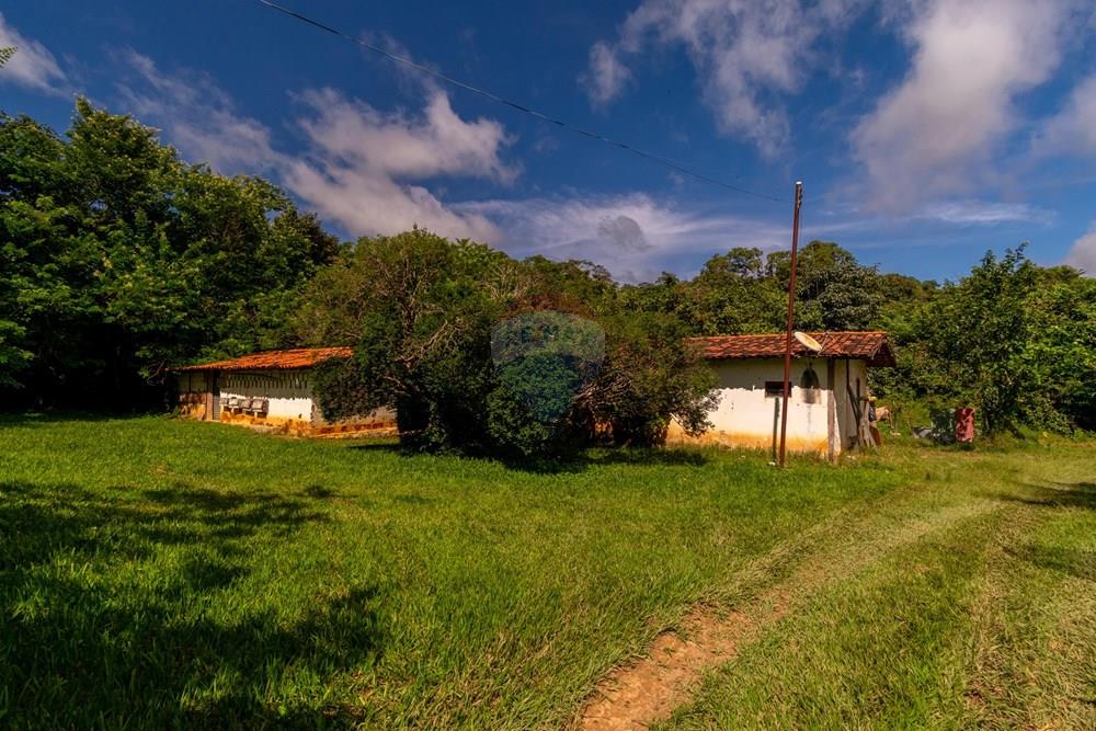 Chácara / Sítio / Fazenda - Venda - Planaltina , Distrito Federal - DSC_6634.jpg - 880341026-72