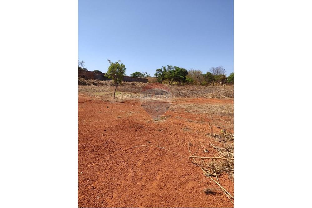 Terreno - Venda - Gama , Distrito Federal - Lote.jpg - 880201061-3