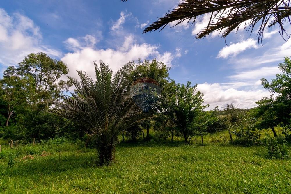 Chácara / Sítio / Fazenda - Venda - Planaltina , Distrito Federal - DSC_6643.jpg - 880341026-72