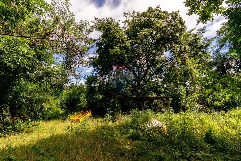 Chácara / Sítio / Fazenda - Venda - Planaltina , Distrito Federal - DSC_6636.jpg - 880341026-72