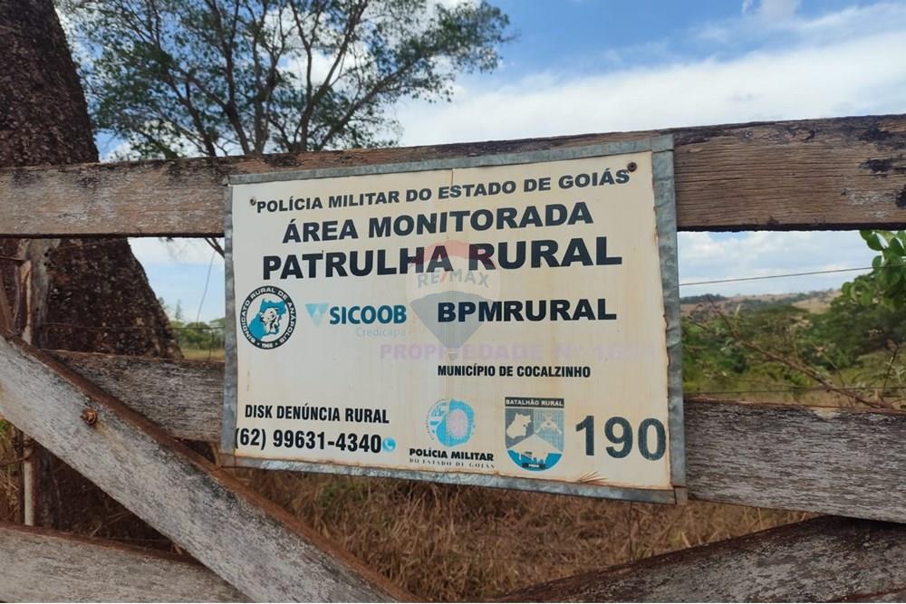 Chácara / Sítio / Fazenda - Venda - Cocalzinho de Goiás , Goiás - WhatsApp Image 2025-10-28 at 08.14.23.jpeg - 880341129-15