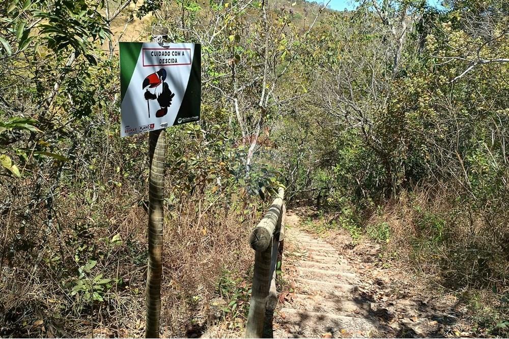 Chácara / Sítio / Fazenda - Venda - Luziânia , Goiás - Imagem do WhatsApp de 2025-06-26 à(s) 23.13.19_1340653b.jpg - 880231017-81