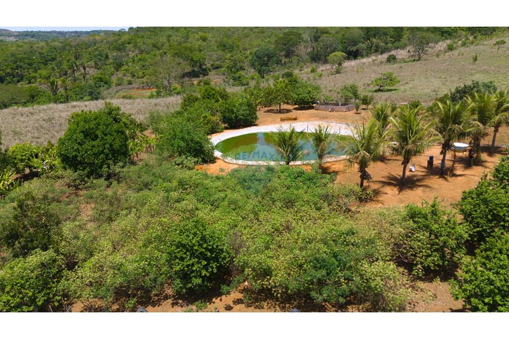 Chácara / Sítio / Fazenda - Venda - Cocalzinho de Goiás , Goiás - DJI_20251105105618_0063_D.jpg - 880341129-15