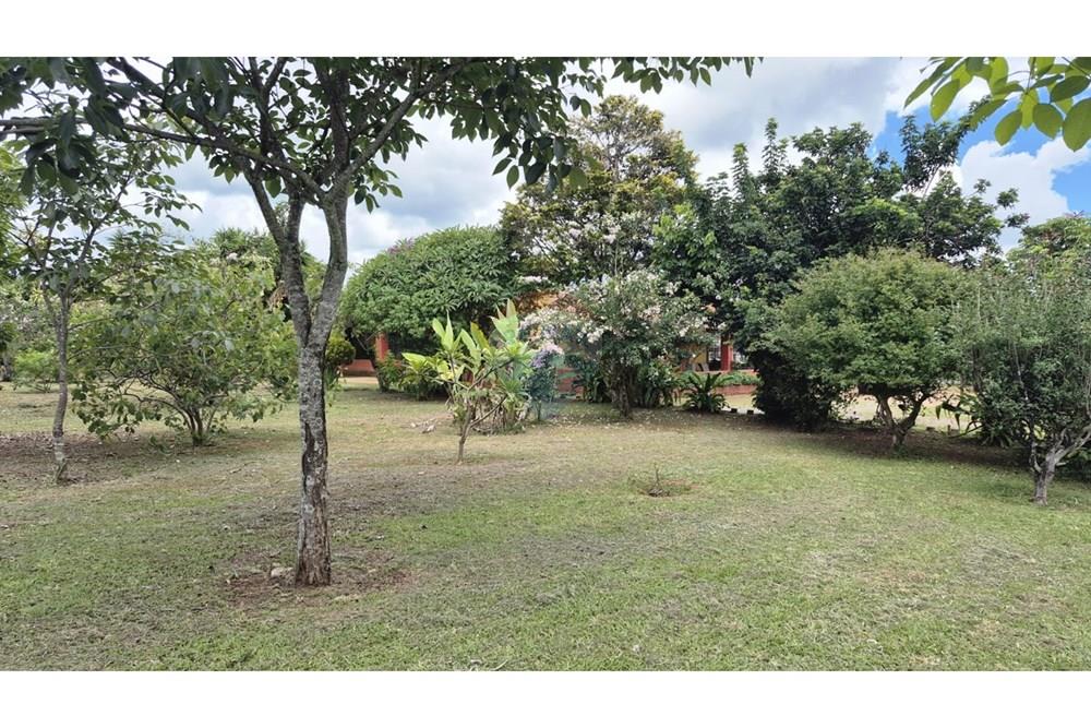 Chácara / Sítio / Fazenda - Venda - Sobradinho , Distrito Federal - WhatsApp Image 2026-03-23 at 15.10.13.jpeg - 880431021-2