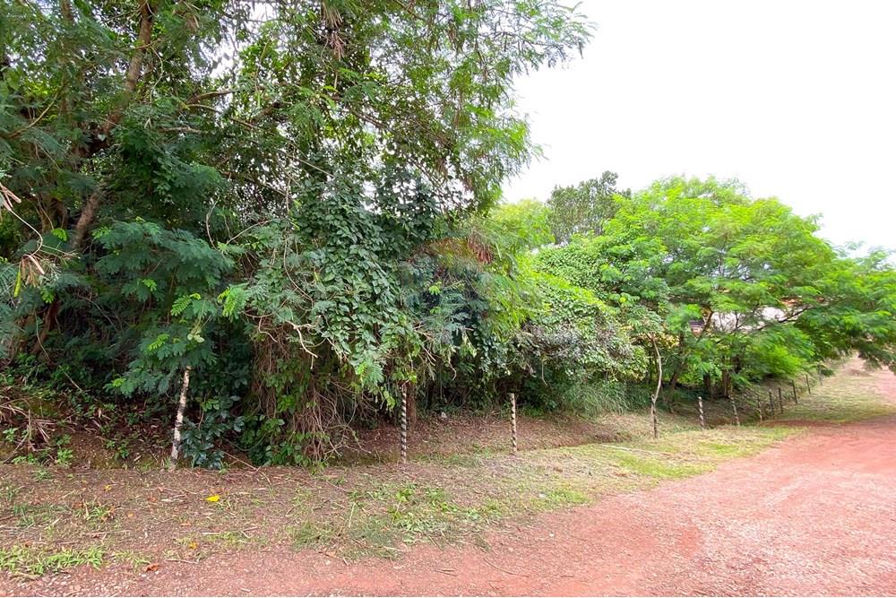 Terreno - Venda - Brasília , Distrito Federal - IMG_1591.jpg - 880221008-75