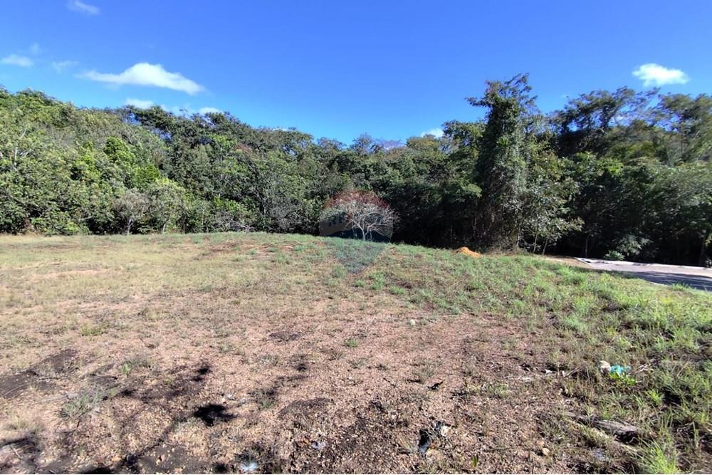 Terreno - Venda - Brasília , Distrito Federal - WhatsApp Image 2025-07-11 at 21.00.44.jpeg - 880341024-136