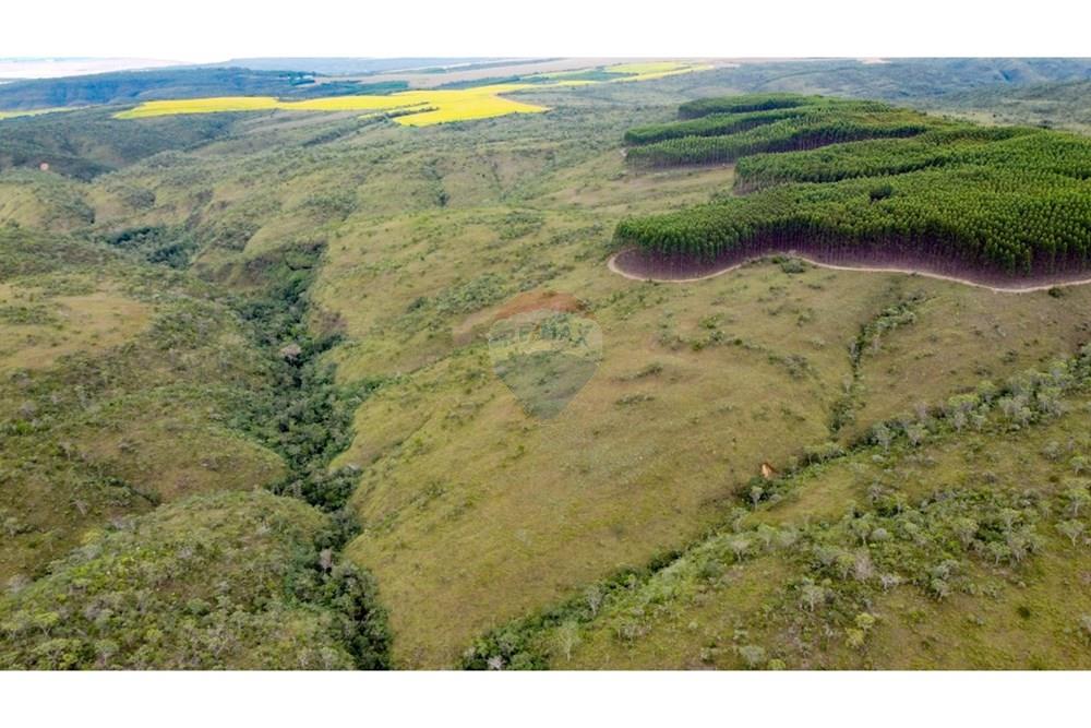 Chácara / Sítio / Fazenda - Venda - Água Fria de Goiás , Goiás - IMG-20250526-WA0149.jpg - 880231017-84