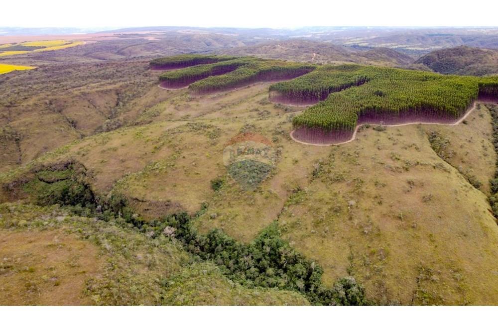 Chácara / Sítio / Fazenda - Venda - Água Fria de Goiás , Goiás - IMG-20250526-WA0144.jpg - 880231017-84