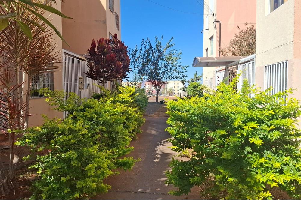 Apartamento - Venda - Paranoa , Distrito Federal - 20250723_103350.jpg - 880231015-87