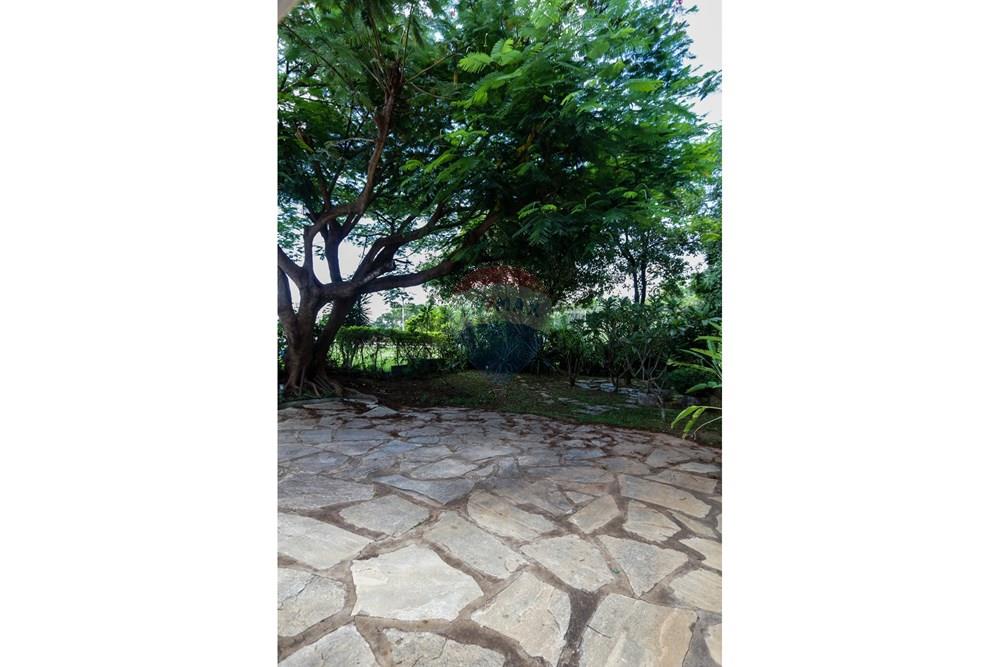 Apartamento - Alugar - Brasília , Distrito Federal - Quintal - 004.jpg - 880221014-139