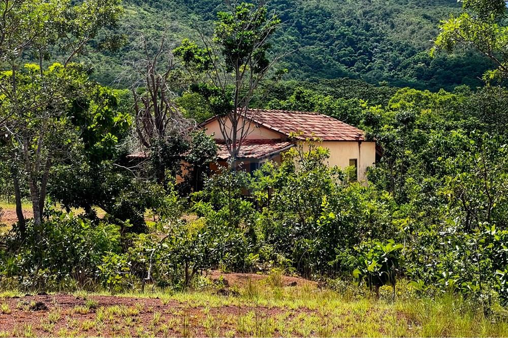 Chácara / Sítio / Fazenda - Venda - Buritis , Minas Gerais - casa 4.jpg - Layout aberto - 880461004-155