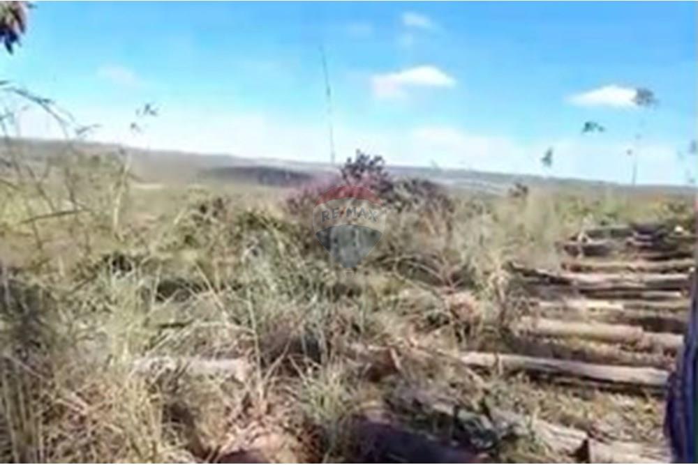 Chácara / Sítio / Fazenda - Venda - Água Fria de Goiás , Goiás - IMG-20250523-WA0219.jpg - 880231017-84