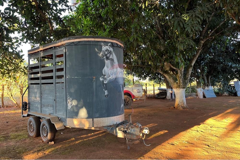 Chácara / Sítio / Fazenda - Venda - Brazlandia , Distrito Federal - IMG_4154.jpg - 880351001-200