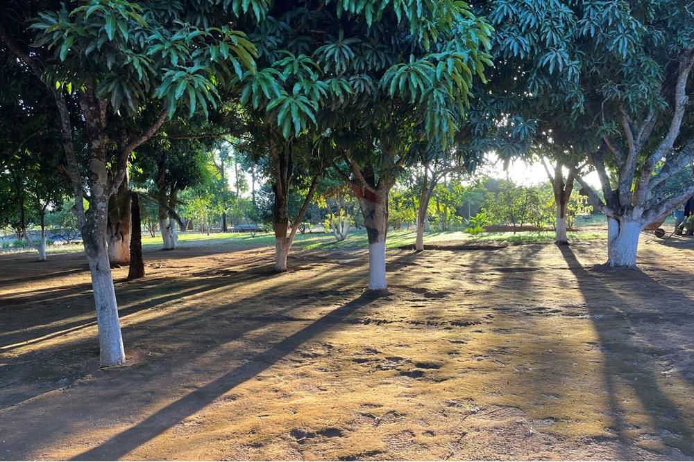 Chácara / Sítio / Fazenda - Venda - Brazlandia , Distrito Federal - IMG_4140.jpg - 880351001-200