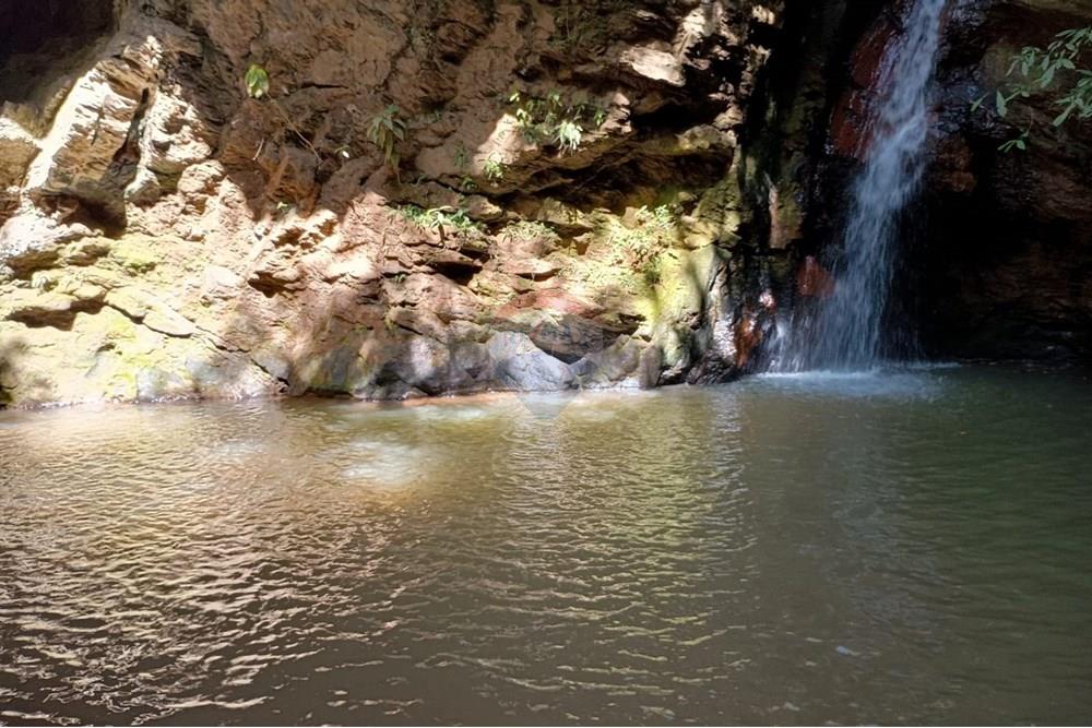 Chácara / Sítio / Fazenda - Venda - Luziânia , Goiás - Imagem do WhatsApp de 2025-06-26 à(s) 23.13.23_c7f31473.jpg - 880231017-81