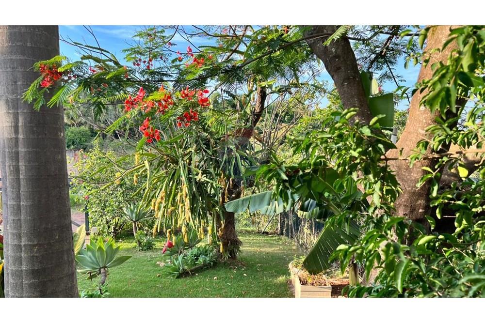 Casa - Venda - Águas Claras , Distrito Federal - WhatsApp Image 2026-03-25 at 22.39.22 (12).jpeg - 880351011-90