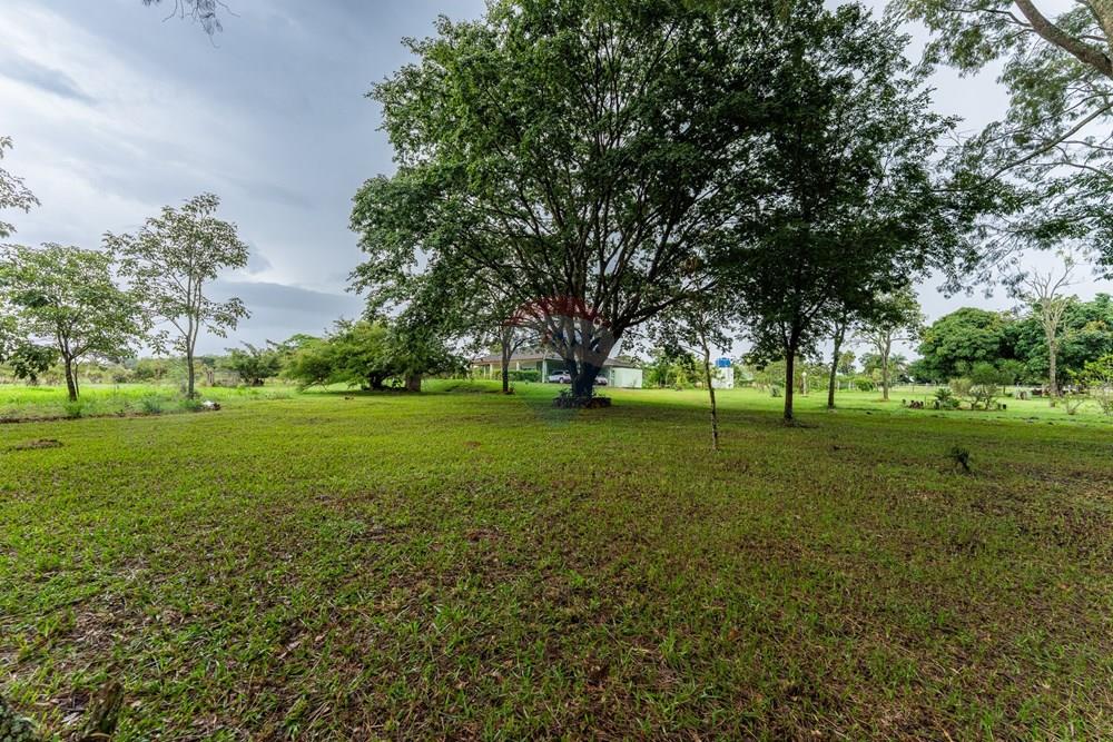 Chácara / Sítio / Fazenda - Venda - Sobradinho , Distrito Federal - DSC07413.jpg - 880221014-155