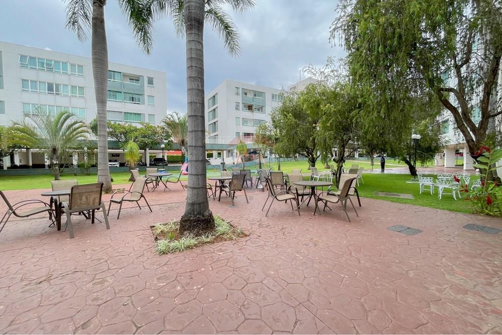 Apartamento - Alugar - Brasília , Distrito Federal - IMG_3364.jpg - 880161041-128