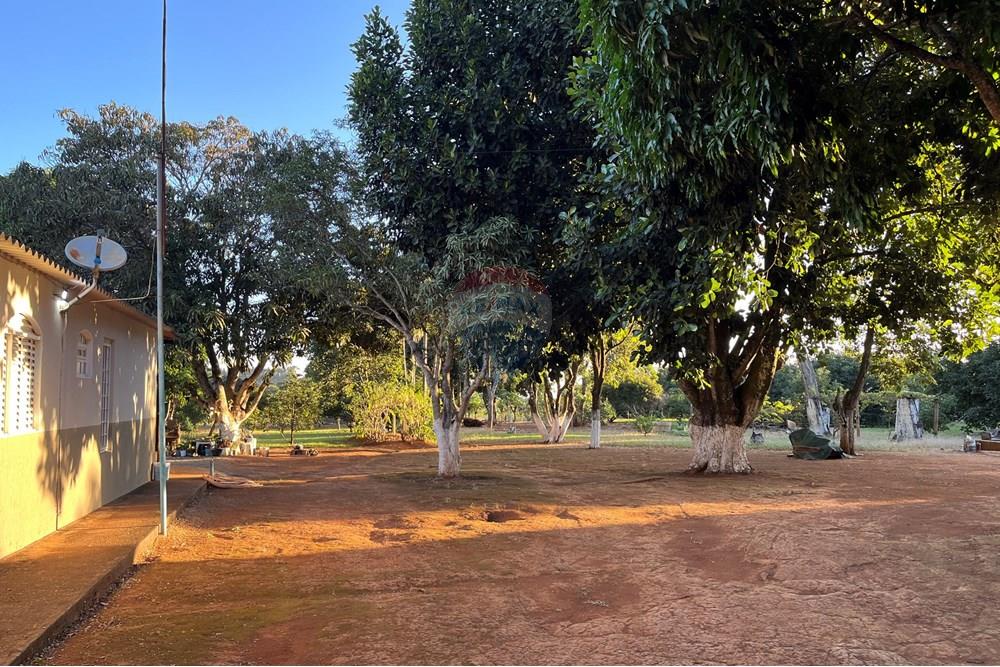 Chácara / Sítio / Fazenda - Venda - Brazlandia , Distrito Federal - IMG_4157.jpg - 880351001-200