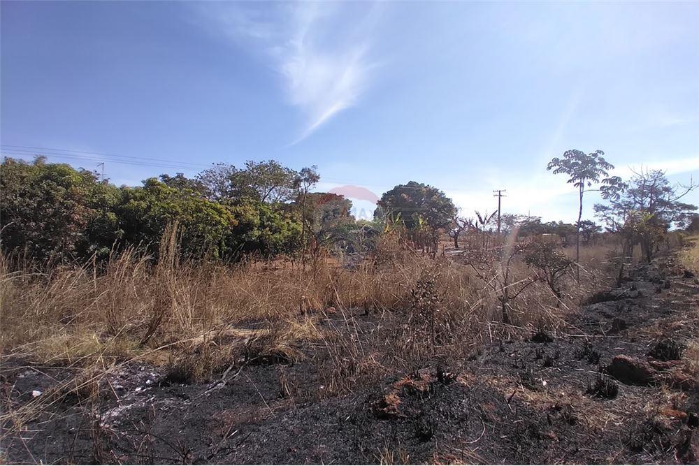 Chácara / Sítio / Fazenda - Venda - Gama , Distrito Federal - 34 - 880321005-55