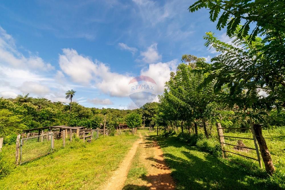 Chácara / Sítio / Fazenda - Venda - Planaltina , Distrito Federal - DSC_6624.jpg - 880341026-72