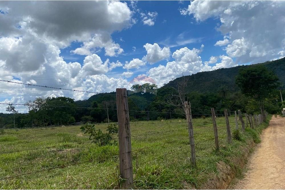 Chácara / Sítio / Fazenda - Venda - Paranoa , Distrito Federal - WhatsApp Image 2025-02-20 at 15.54.18.jpeg - 880401014-2