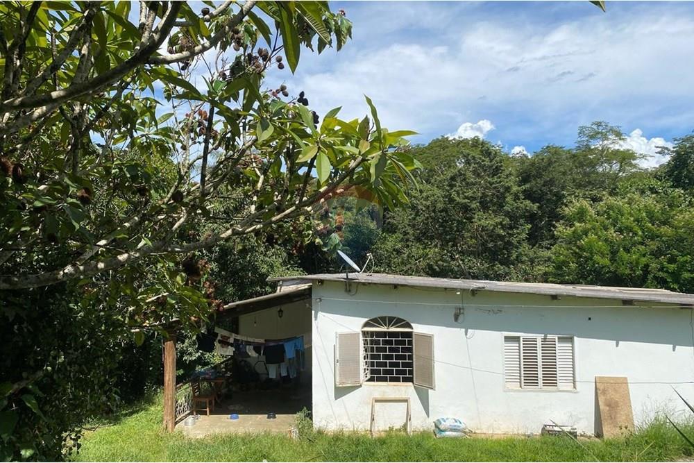 Chácara / Sítio / Fazenda - Venda - Paranoa , Distrito Federal - WhatsApp Image 2025-02-20 at 15.54.19 (2).jpeg - 880401014-2