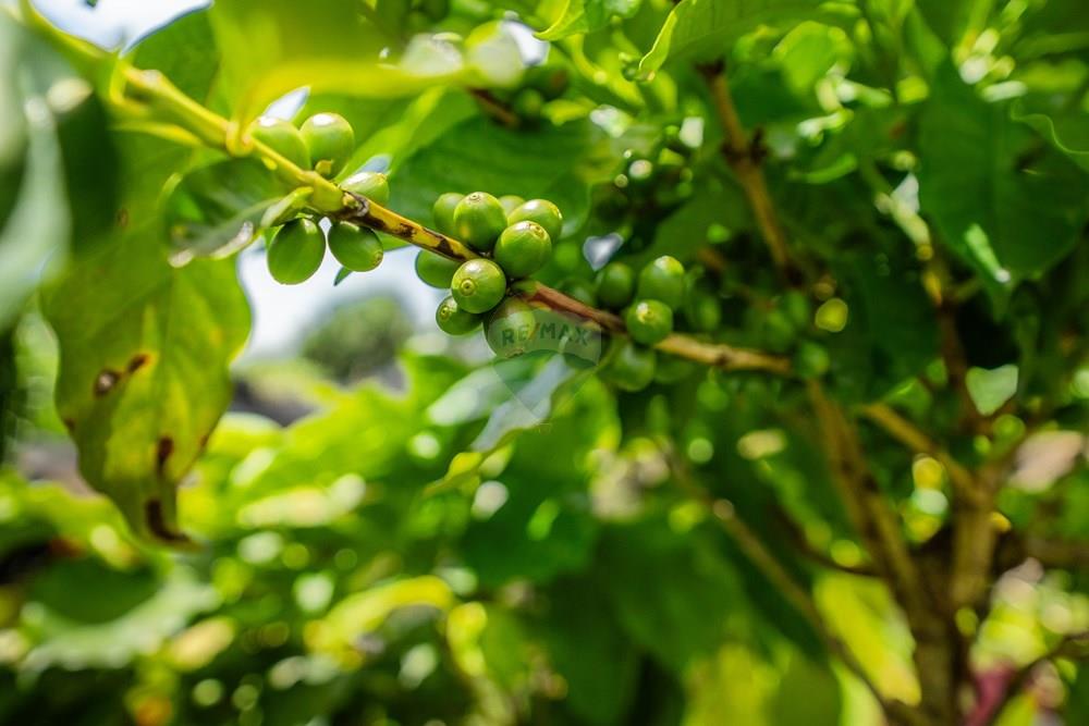 Casa - Venda - Brasília , Distrito Federal - DSC04939.jpg - 880221014-149