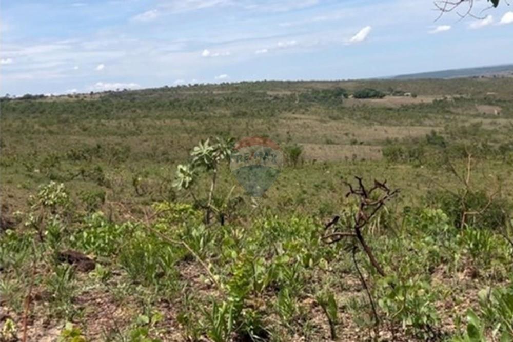 Chácara / Sítio / Fazenda - Venda - Luziânia , Goiás - WhatsApp Image 2025-12-01 at 15.21.27.jpeg - 880111117-10