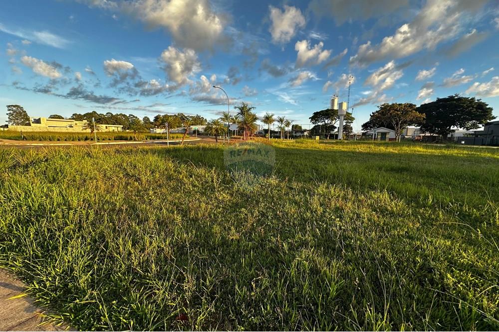 Terreno - Venda - Brasília , Distrito Federal - WhatsApp Image 2025-05-12 at 07.06.36.jpeg - 880321003-427