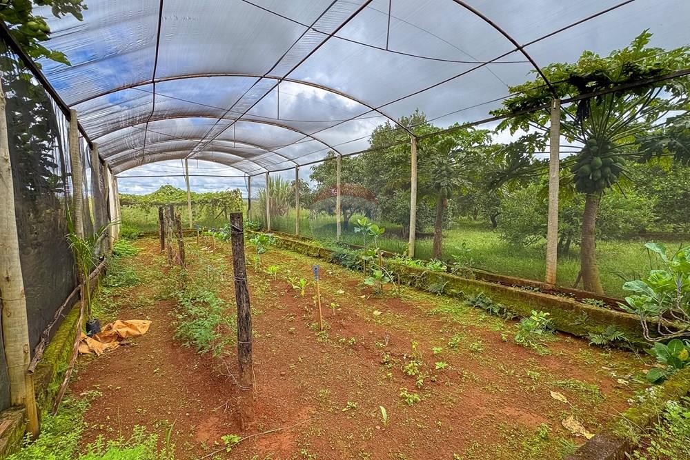 Chácara / Sítio / Fazenda - Venda - Sobradinho II , Distrito Federal - IMG_2709.jpg - 880111107-15