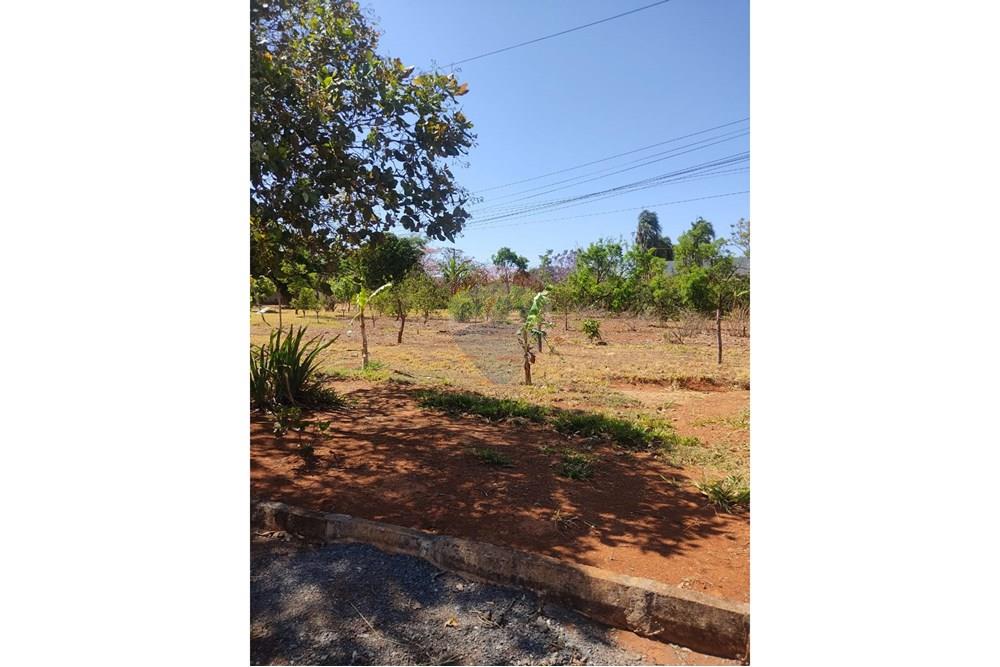 Terreno - Venda - Gama , Distrito Federal - rua lateral de entrada lote.jpg - 880201061-3
