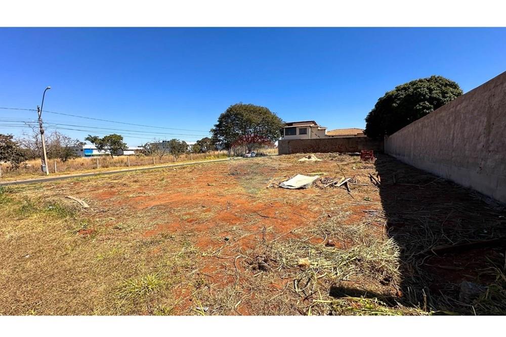 Terreno - Venda - Brasília , Distrito Federal - IMG_5104.jpg - Quintal - 880261102-26