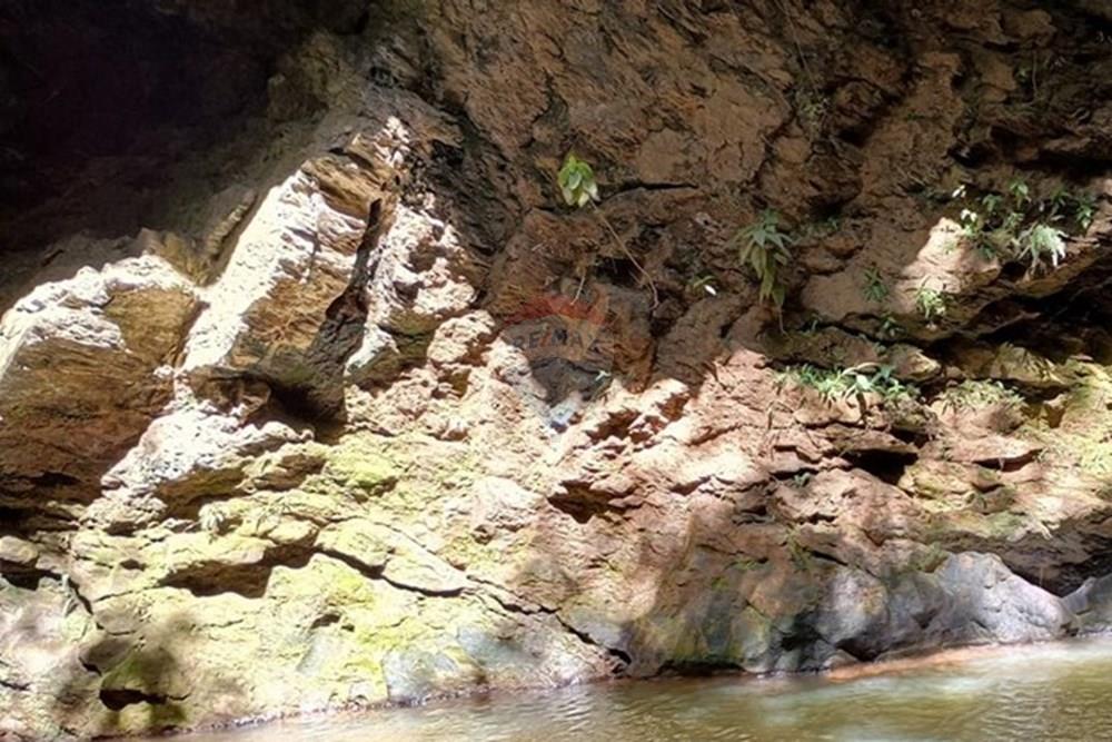 Chácara / Sítio / Fazenda - Venda - Luziânia , Goiás - Imagem do WhatsApp de 2025-06-26 à(s) 23.13.23_049b69bb.jpg - 880231017-81