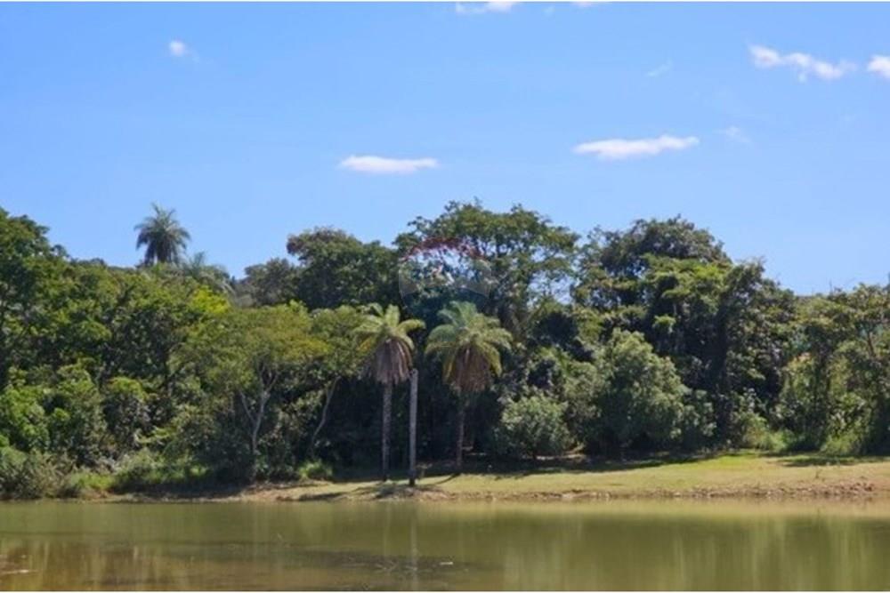 Terreno - Venda - Valparaíso de Goiás , Goiás - WhatsApp Image 2025-11-27 at 12.41.46.jpeg - 880111117-12