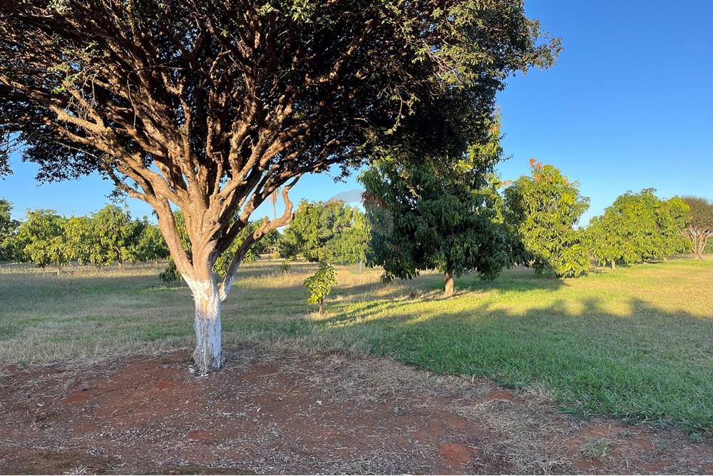 Chácara / Sítio / Fazenda - Venda - Brazlandia , Distrito Federal - IMG_4115.jpg - 880351001-200