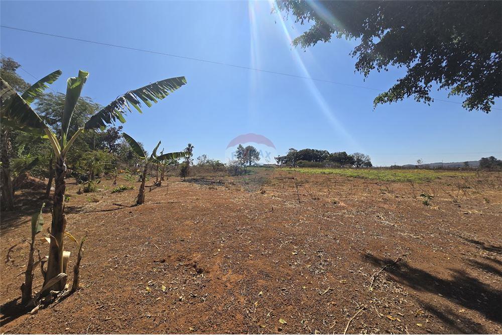 Chácara / Sítio / Fazenda - Venda - Gama , Distrito Federal - 29 - 880321005-55