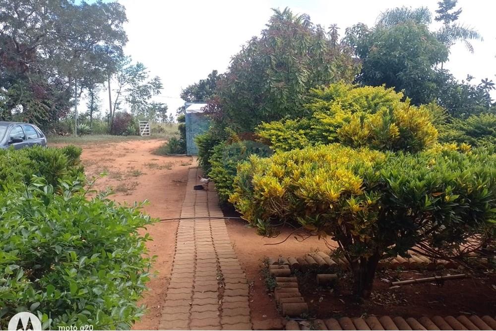 Chácara / Sítio / Fazenda - Venda - Ceilandia , Distrito Federal - WhatsApp Image 2025-05-20 at 14.24.03 (1).jpeg - 880401014-7