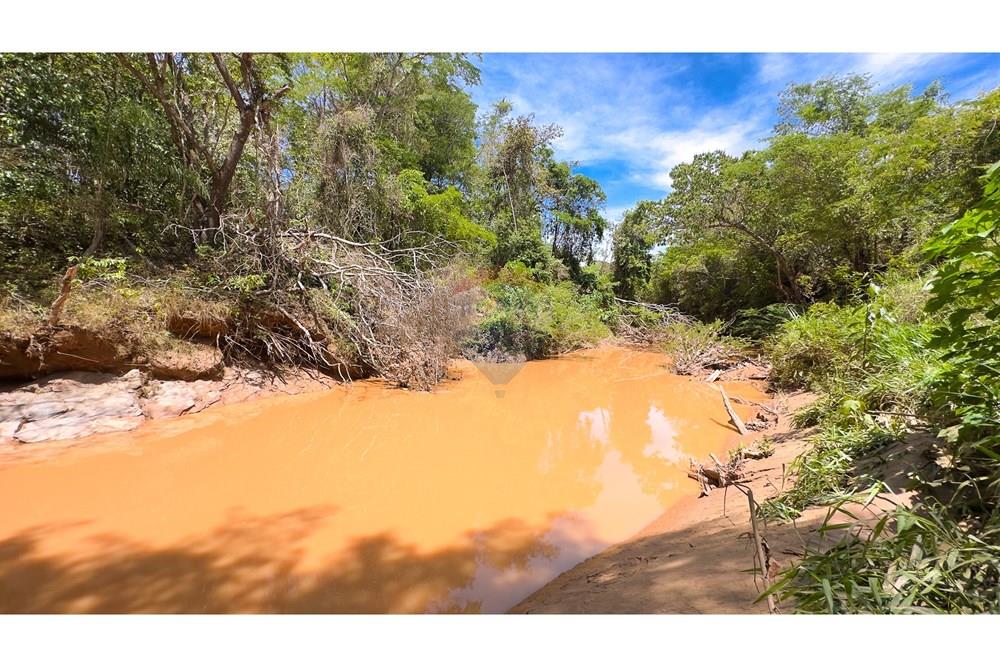 Chácara / Sítio / Fazenda - Venda - Cocalzinho de Goiás , Goiás - IMG_3364.jpg - 880341129-15